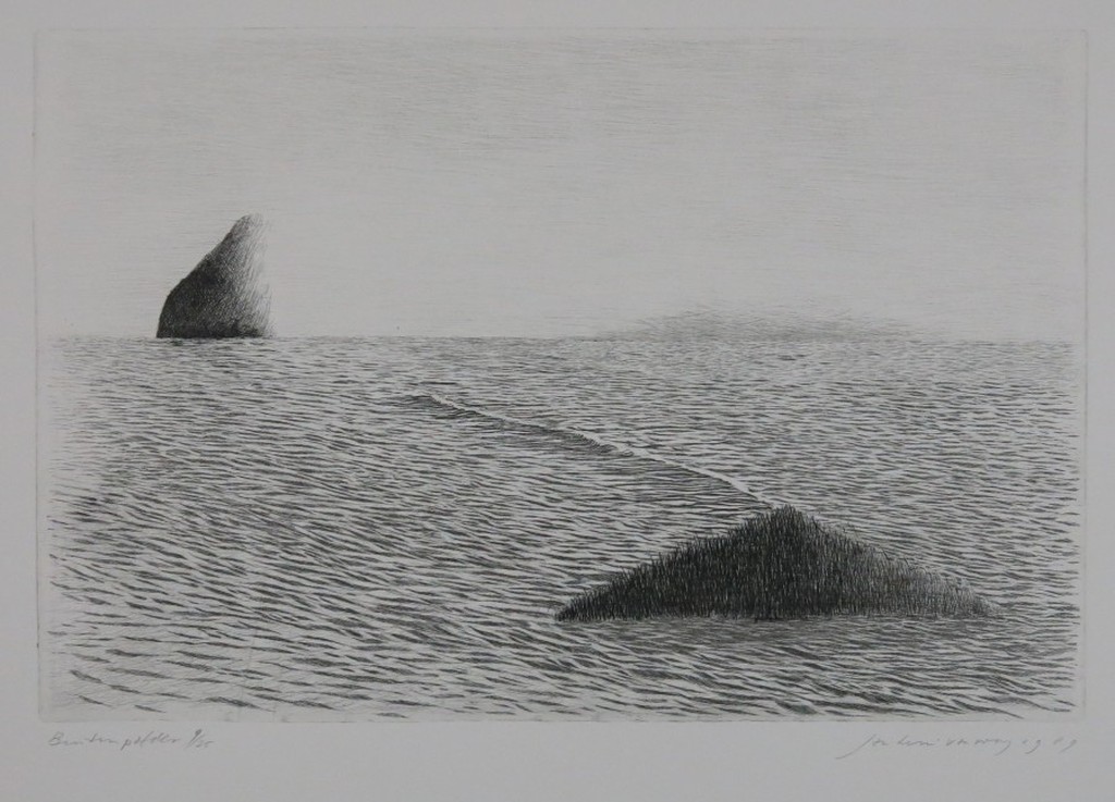 Jan Hein van Rooy: Ets, Buitenpolder kopen? Bied vanaf 1!