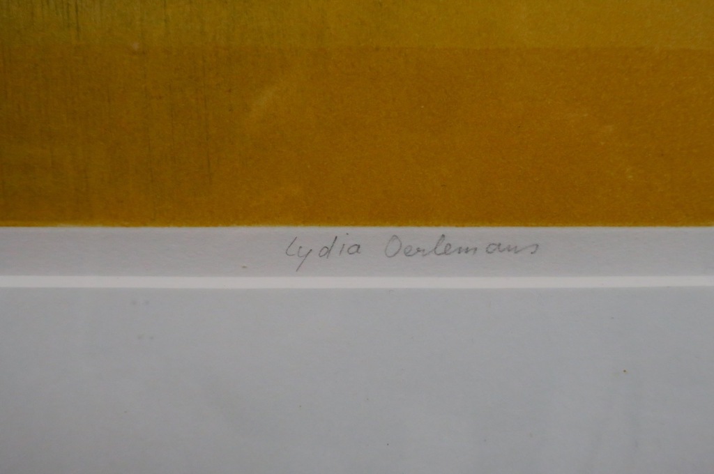 Lydia Oerlemans: Ets, Velden III - Ingelijst kopen? Bied vanaf 50!