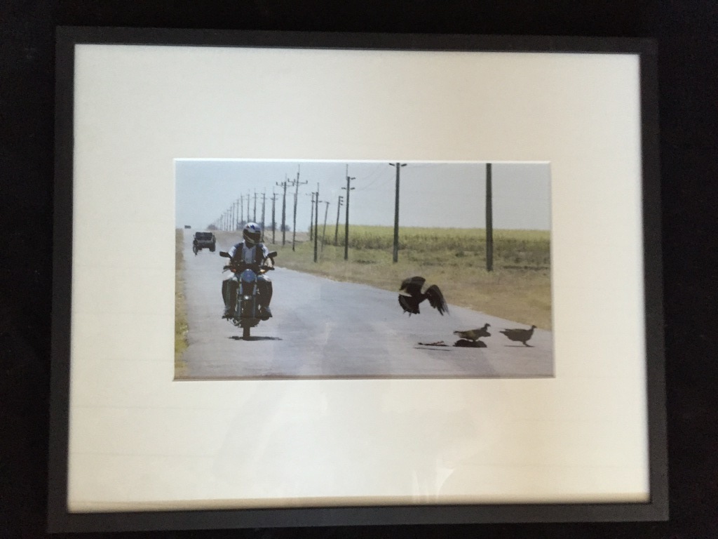 NICO KOSTER  CUBA CORNEILLE kopen? Bied vanaf 1!