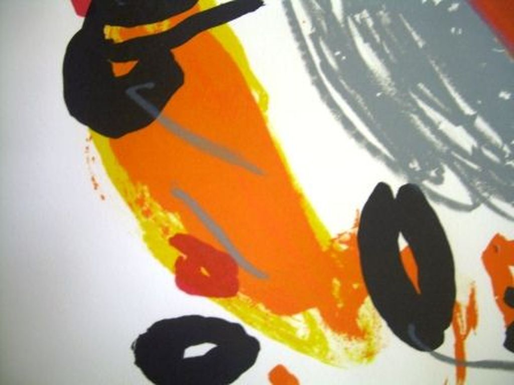 JURJEN de HAAN   Groot Litho uit 1989 Handgesigneerd en Gelimiteerd kopen? Bied vanaf 75!