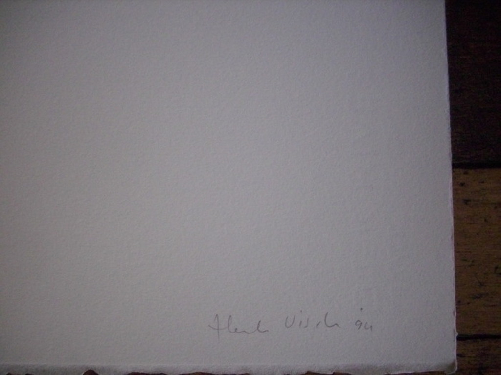 Henk Visch: grote kleurenzeefdruk 1994, handgesigneerd, weinig aangeboden  kopen? Bied vanaf 120!