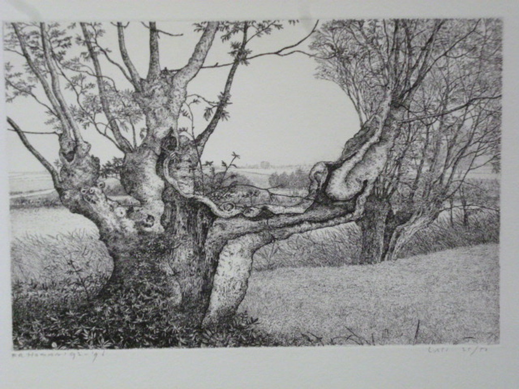 Reinder Homan - ets - Oude Es verkocht voor € 65!