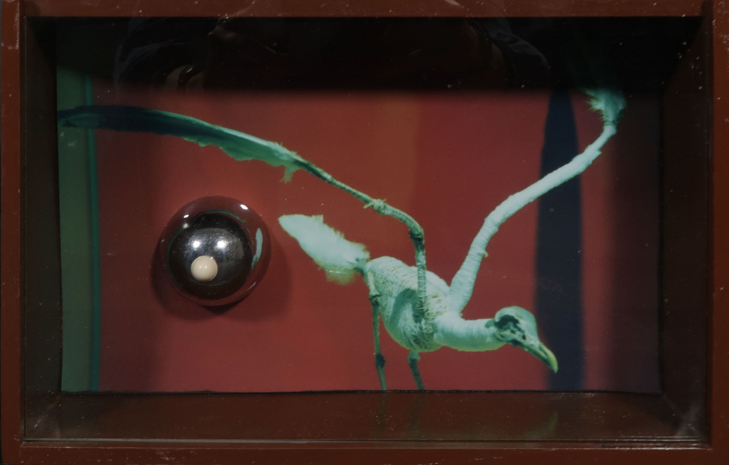 Pamela Schellekens: Gemengde techniek, Z.T. - Ingelijst kopen? Bied vanaf 1!