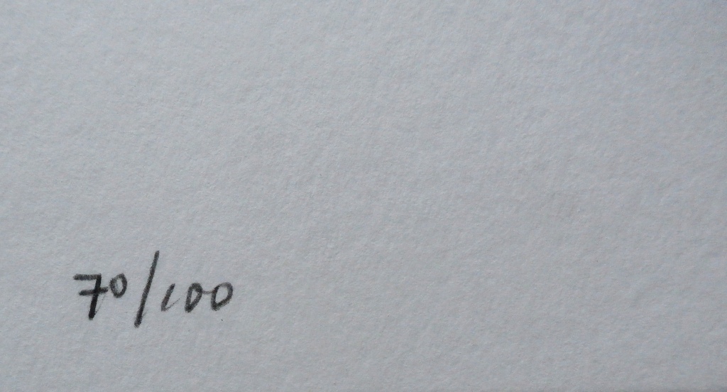 Herman Brood - zeefdruk: Hips groen kopen? Bied vanaf 175!