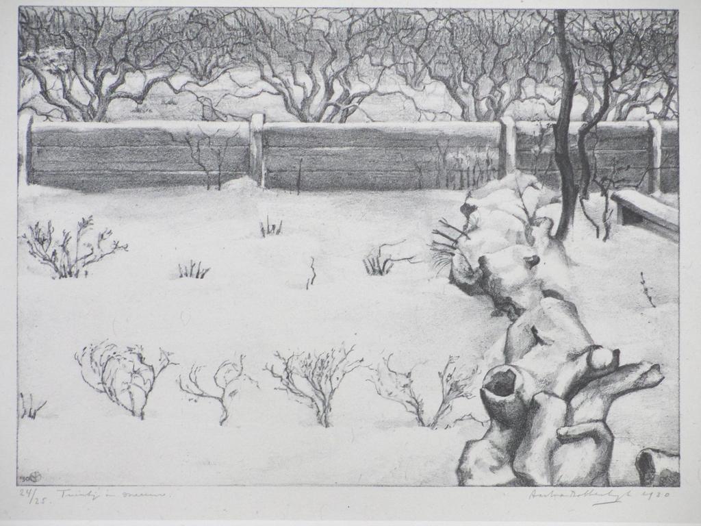 Aart van Dobbenburgh, Tuintje in sneeuw, Litho 1930 verkocht voor € 60!