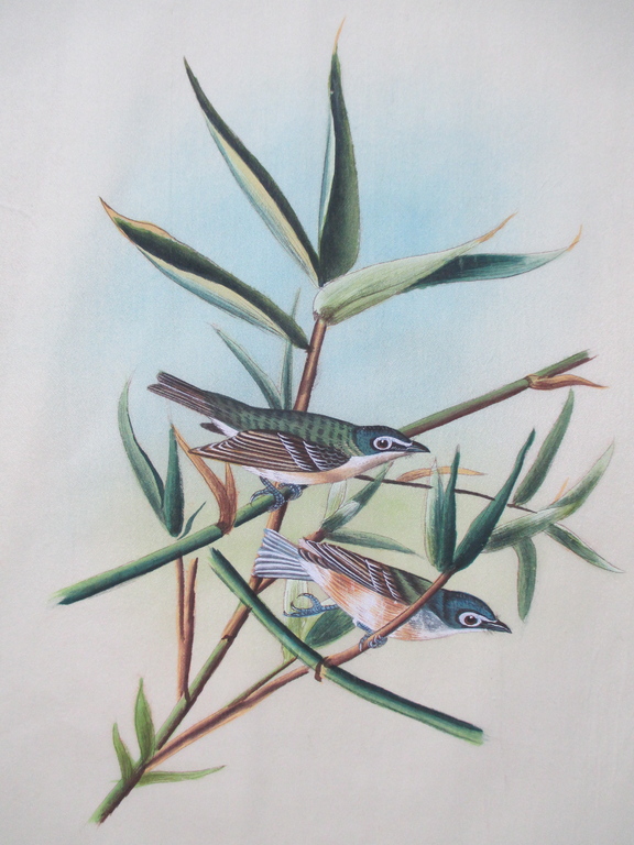 4x Handbeschilderde zijden doek; Vogels kopen? Bied vanaf 15!