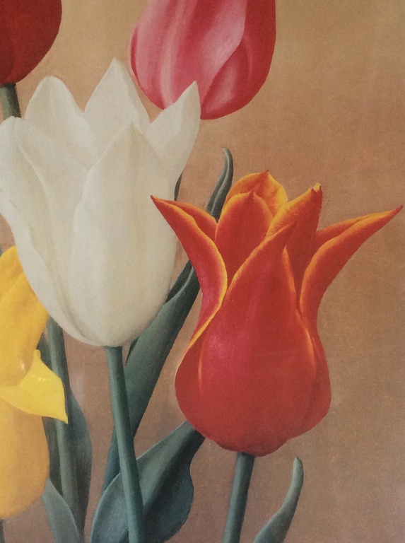 Jan Voerman Jr  Tulpen  Litho/Druk ingelijst 36 x 49 cm kopen? Bied vanaf 35!