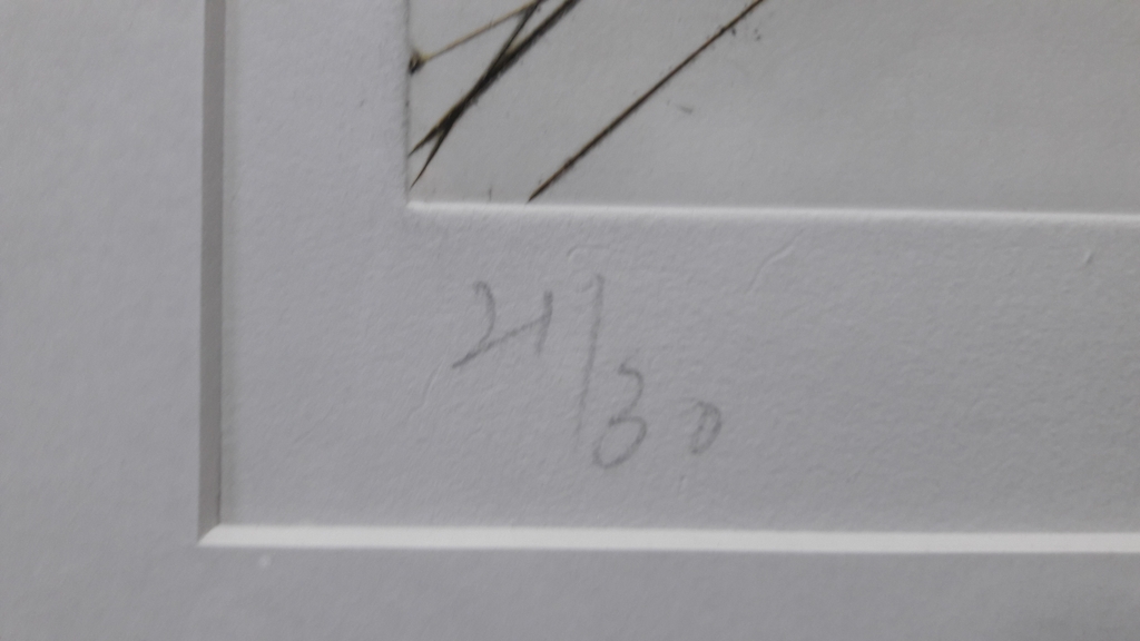 Ger Lataster,  Gesigneerd , zeefdruk  kopen? Bied vanaf 35!