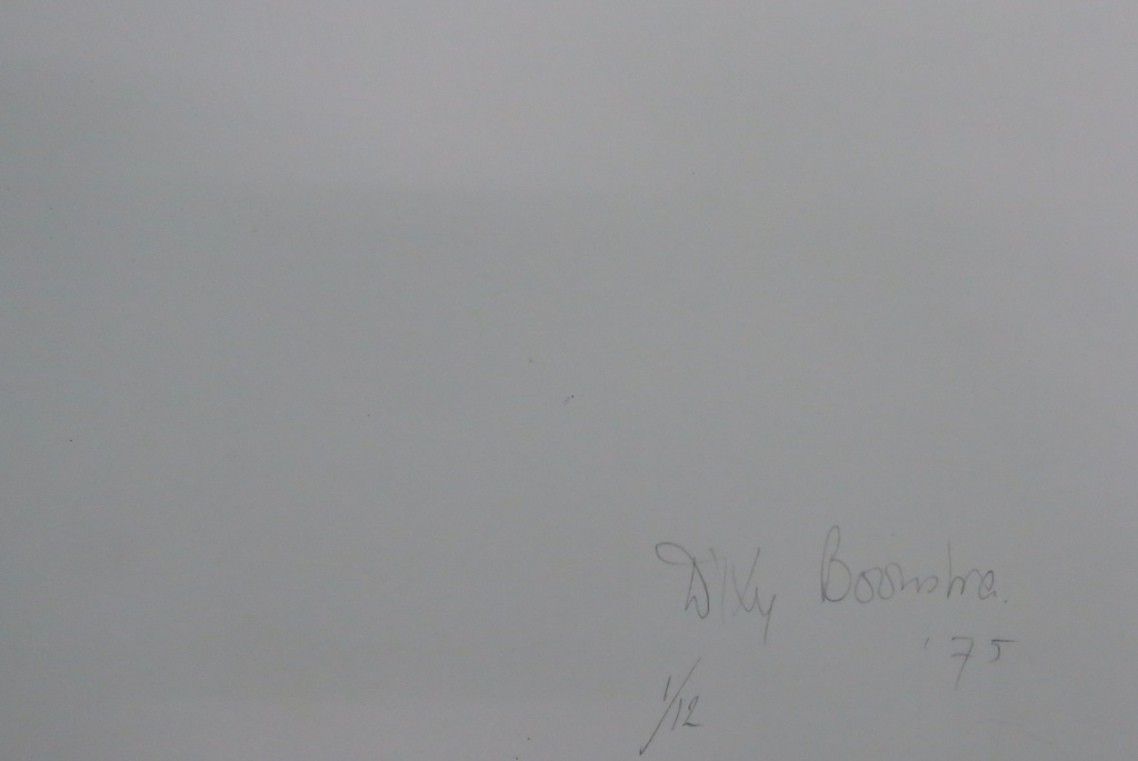 Dixy Boonstra: Litho, Handschoenen kopen? Bied vanaf 1!