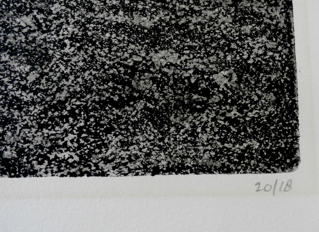 Paulien Wittenrood - ets: bos - 1974 kopen? Bied vanaf 50!