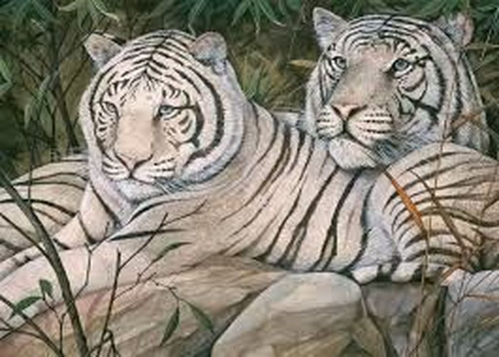 Hennie van Dijk Titel   kopen? Bied vanaf 45!