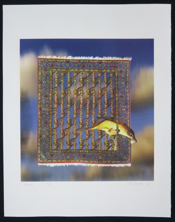 Patrick Bergsma: Zeefdruk, Karekiet kopen? Bied vanaf 1!