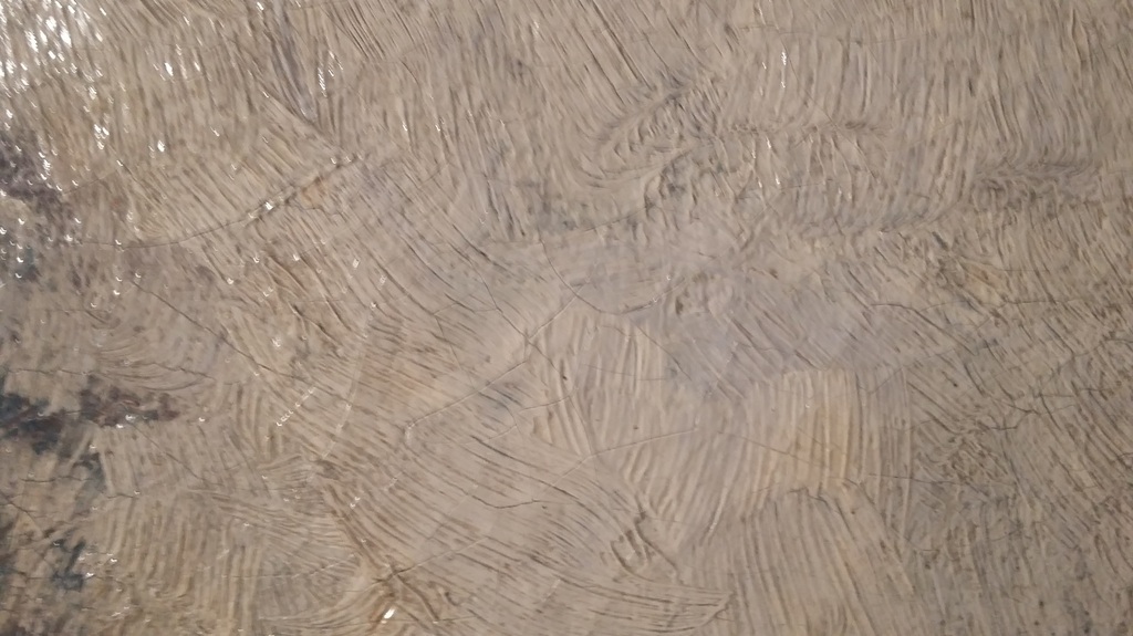 ERD Schaap (1862-1939) - Boerderij - olieverf op doek - gesigneerd kopen? Bied vanaf 275!