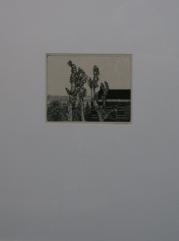 Kees Stoop: Ets, Lente -Ingelijst kopen? Bied vanaf 1!