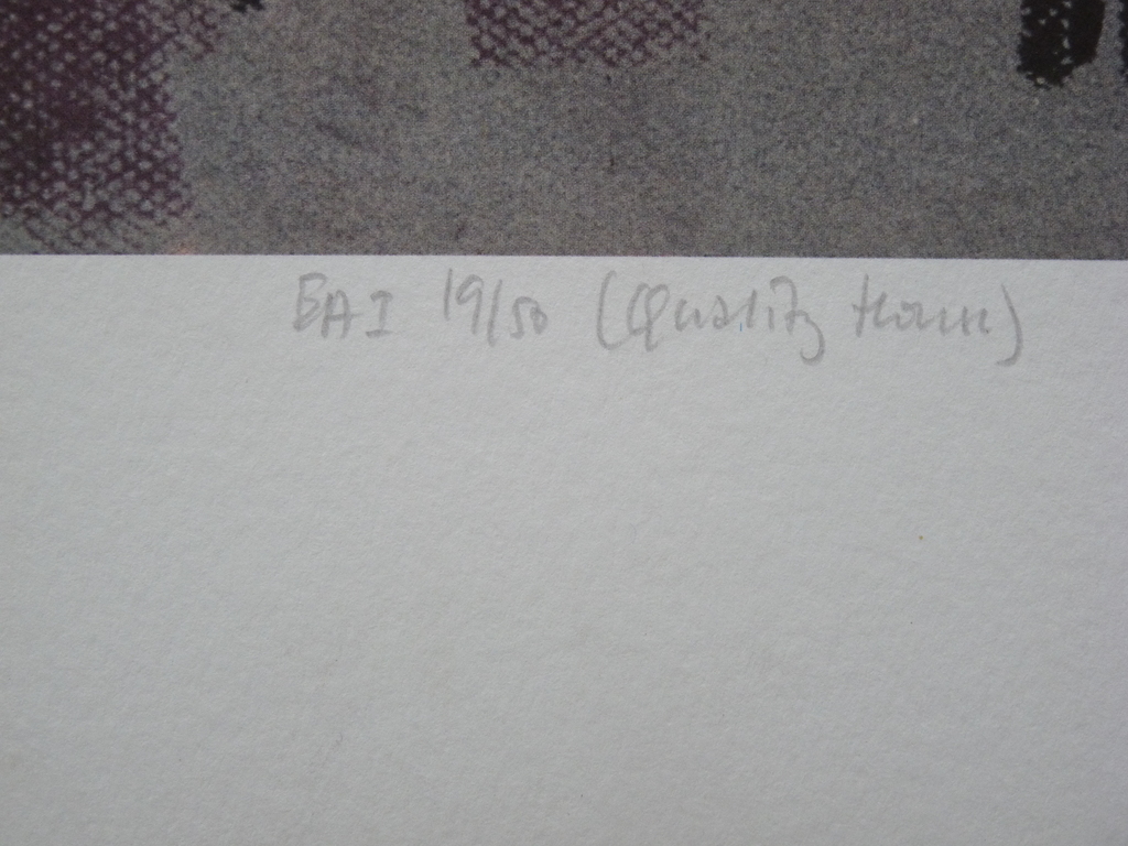 ROB HOUDIJK   GRAFIEKBLAD    kopen? Bied vanaf 35!