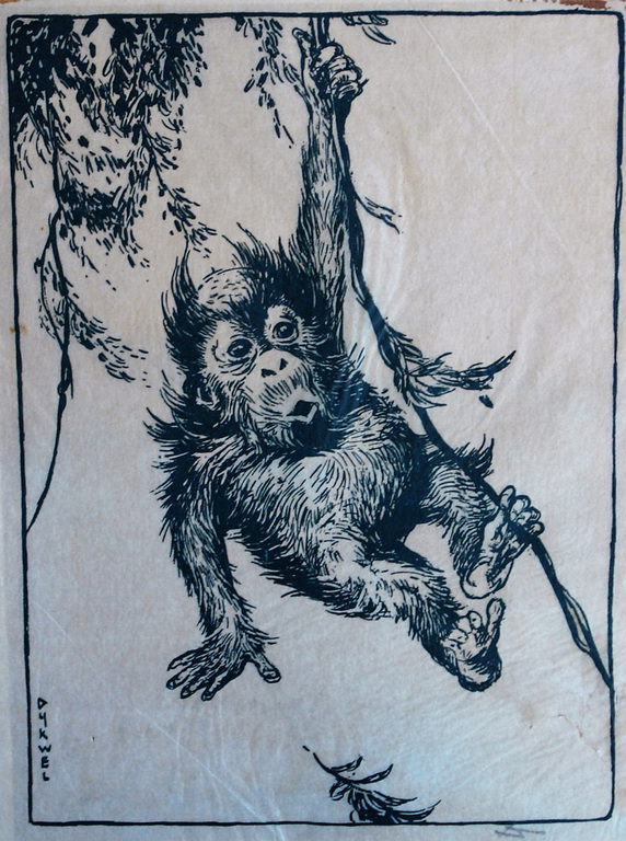 Theo Dijkwel, litho, klimmend aapje verkocht voor € 40!