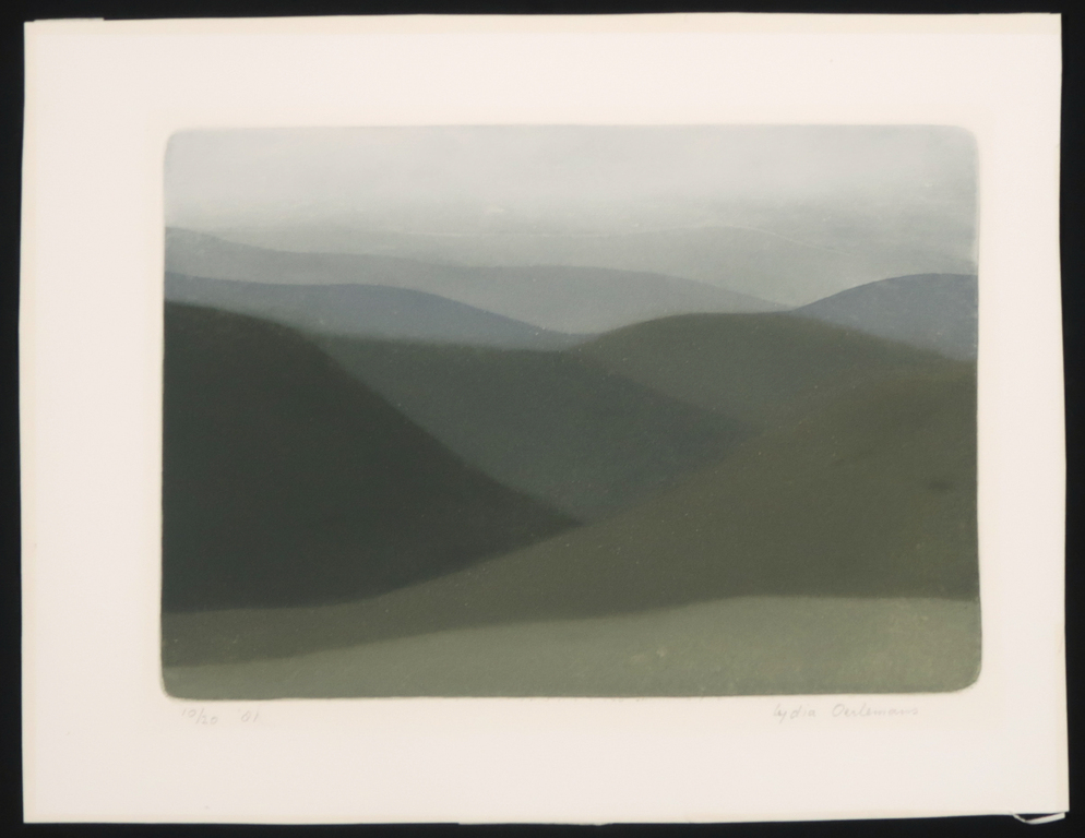 Lydia Oerlemans: Ets en aquatint, Zonder titel kopen? Bied vanaf 40!