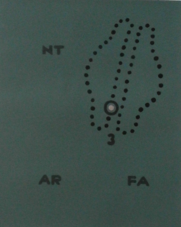 Reinier Lucassen - mooi ingelijste litho: Not after Fontana - 2006 verkocht voor € 125!