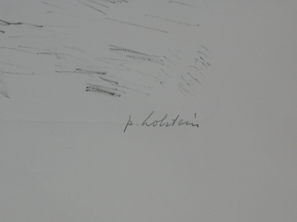 Pieter Holstein, kleurenlitho kopen? Bied vanaf 40!