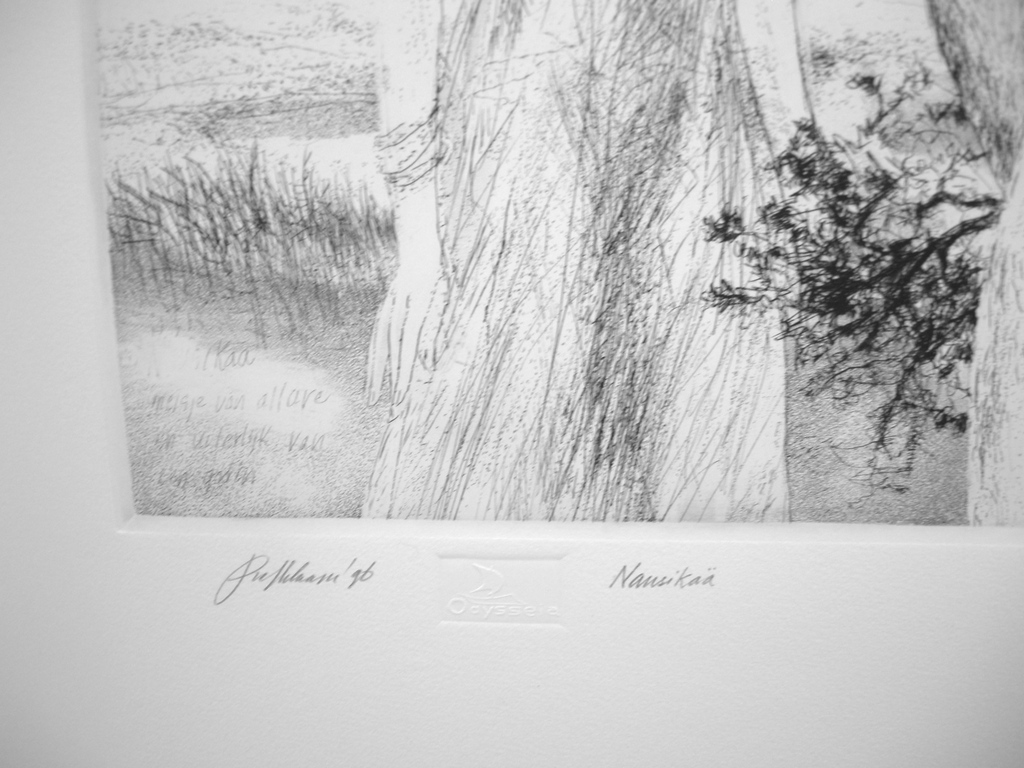 Piet Klaasse, droge naald, Nausikaa kopen? Bied vanaf 25!