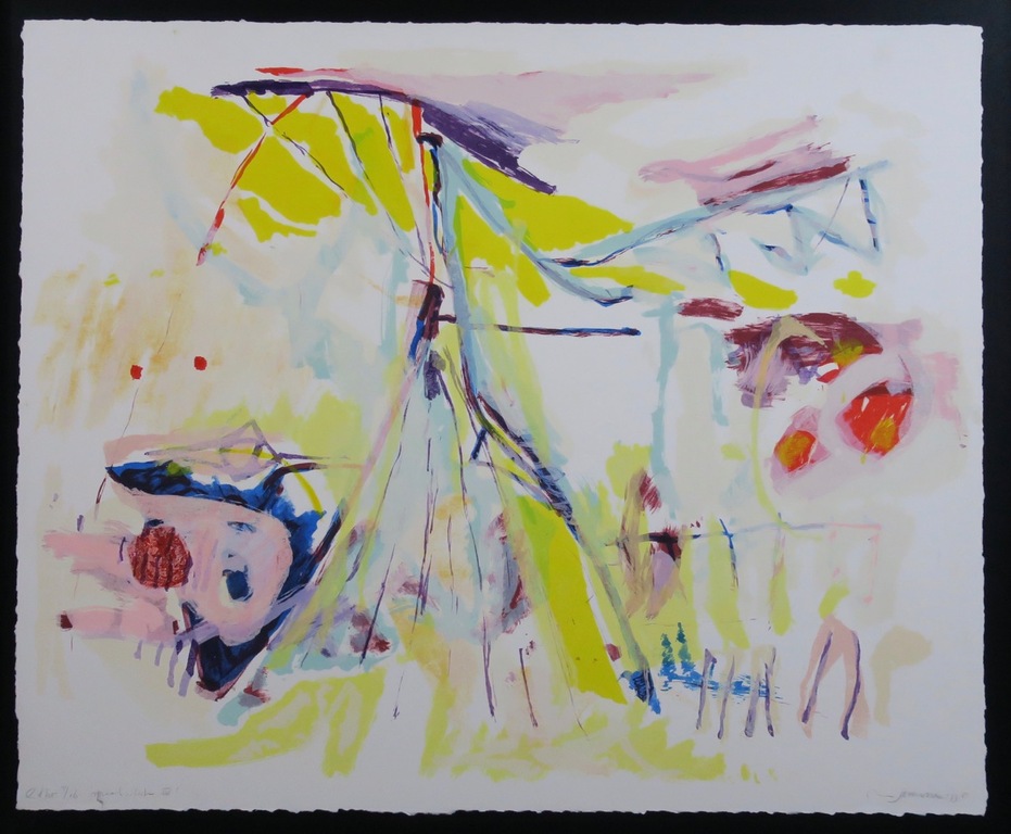 Ron Gennisse: Litho, Speelsdak IV - Ingelijst (groot) verkocht voor € 50!