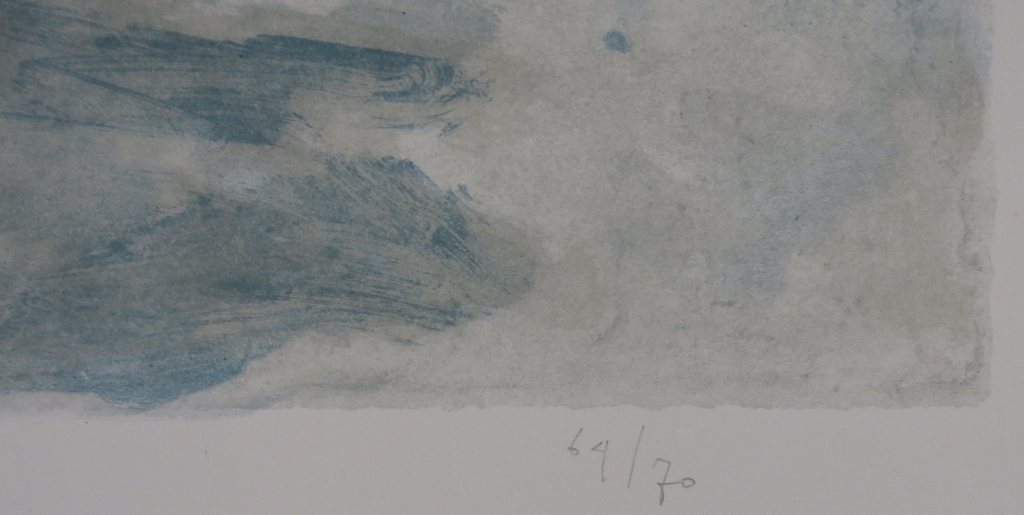 Mart Kempers: Litho, Eenzame Visser kopen? Bied vanaf 1!