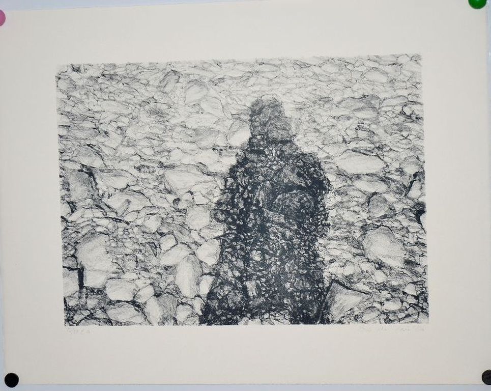 Eric de Nie: Litho. Schaduw in landschap kopen? Bied vanaf 1!