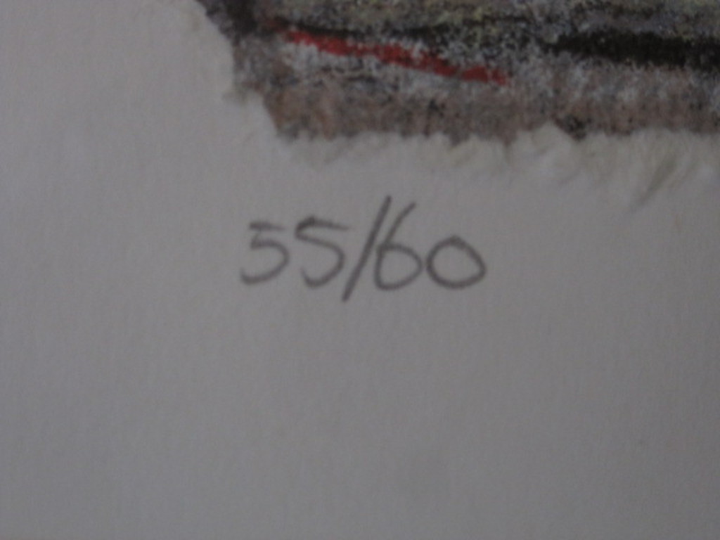 Hans Innemee (1951-) - nagekleurde zeefdruk in zeer beperkte oplage - gesigneerd kopen? Bied vanaf 1!