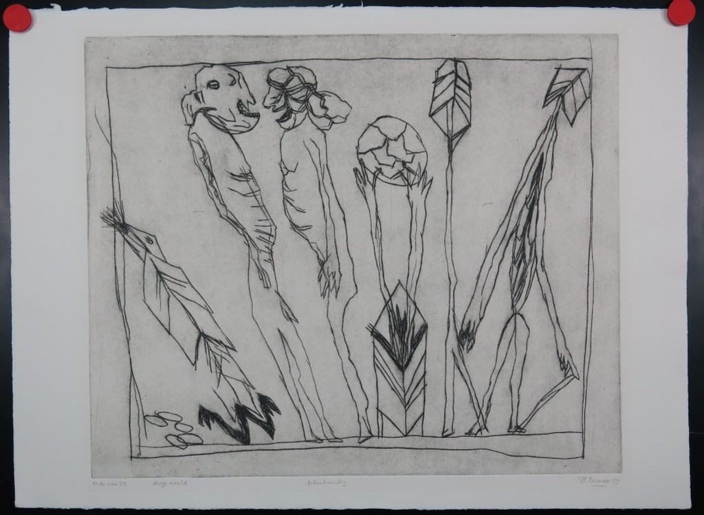 Hanny Ramaer: Droge naald, Plantaardig kopen? Bied vanaf 1!