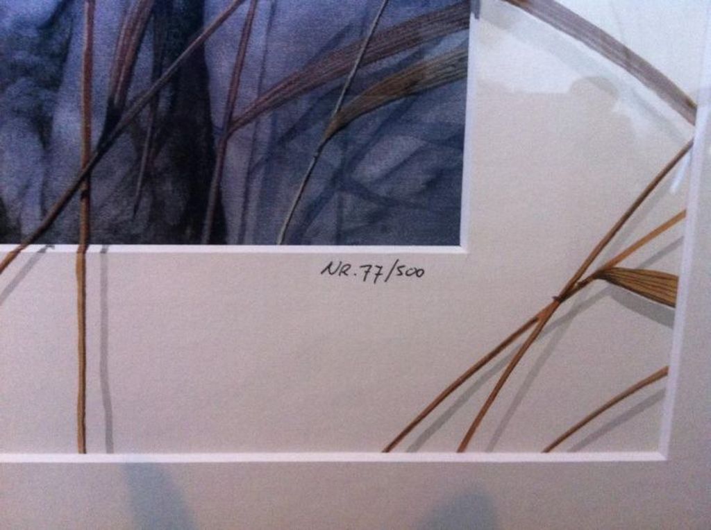 Hennie van Dijk Titel   kopen? Bied vanaf 45!