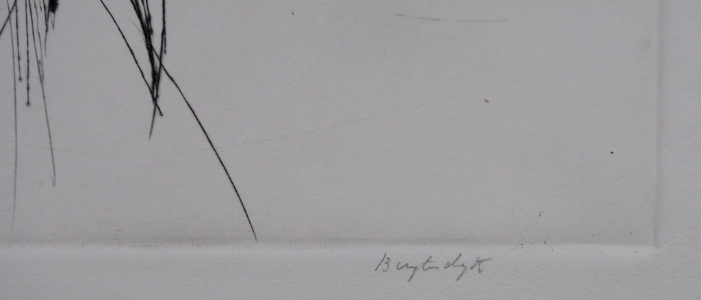 Anton Buytendijk: Droge naald, Compositie kopen? Bied vanaf 20!