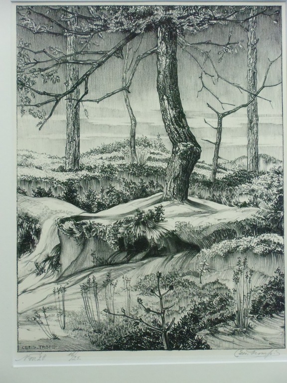 HERFSTLANDSCHAP // LITHO VAN CEES TROMP verkocht voor € 155!