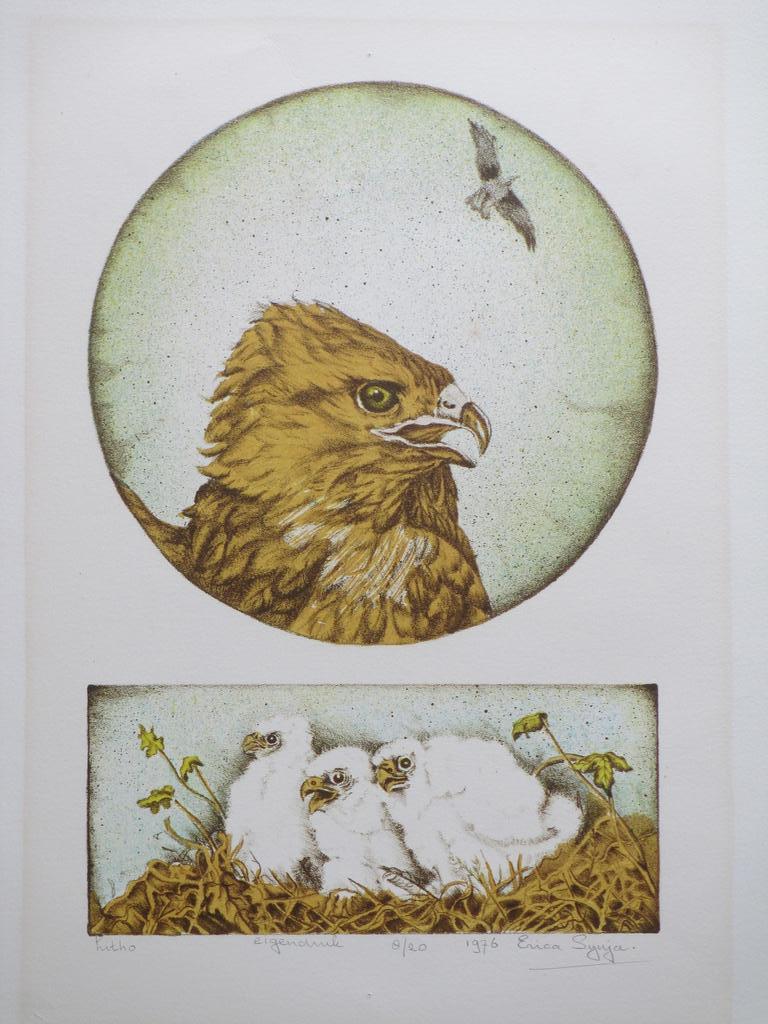 Erica Sijnja, Roofvogels en kuikens, Kleurlitho verkocht voor € 50!