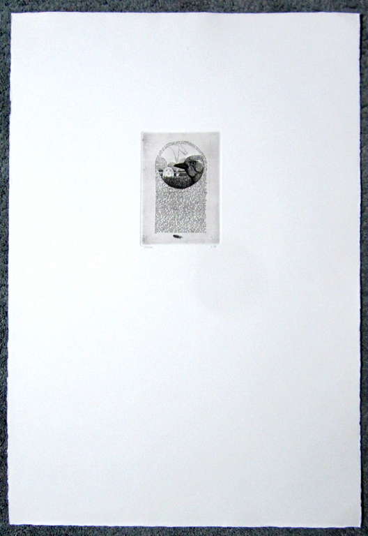 Dolf Zwerver, ets kopen? Bied vanaf 95!