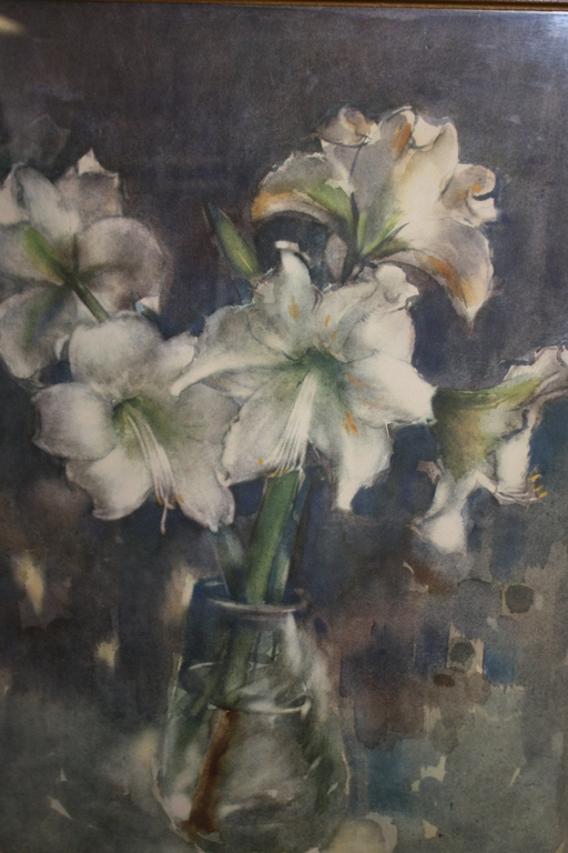 AMARYLIS  PIETER DEN BESTEN  - ROTTERDAM kopen? Bied vanaf 125!