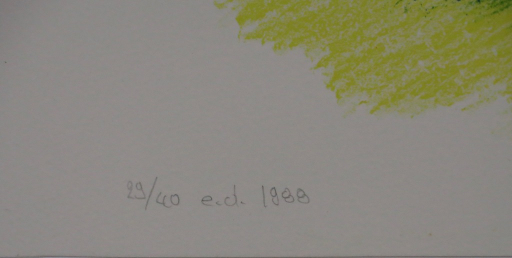 Ami Zillweger: Litho, Val da Cam kopen? Bied vanaf 1!