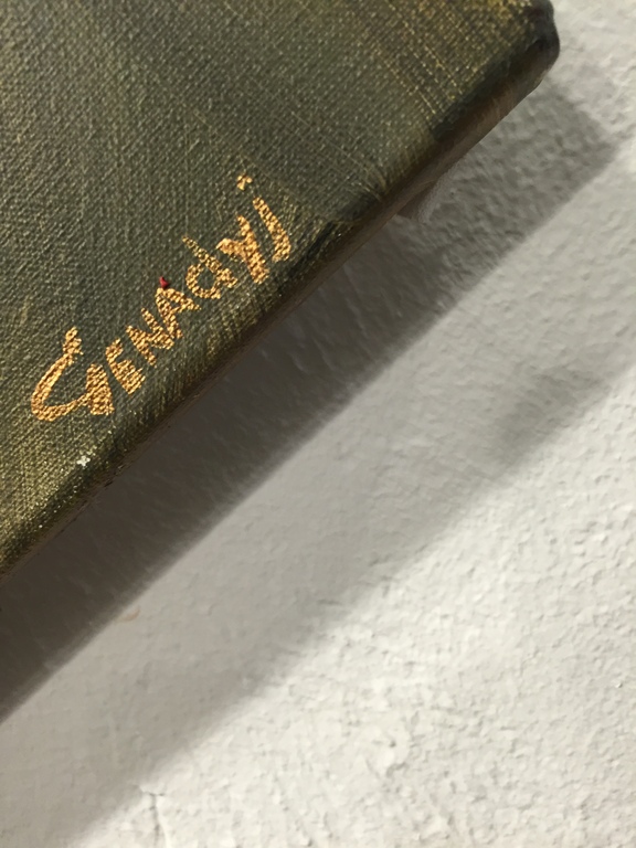 Gena Genadyj gemengde  technieken op doek  PEASE kopen? Bied vanaf 1!