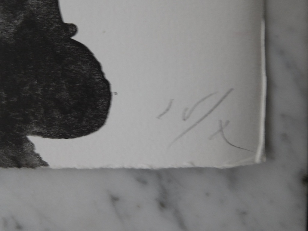 Ger Lataster, zeefdruk  kopen? Bied vanaf 100!