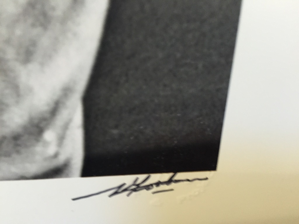 NICO KOSTER de CoBrA Fotograaf  KAREL APPEL kopen? Bied vanaf 1!