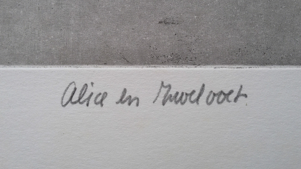 Laatste keer: Arie van Geest - Alice en Zwelvoet, ets kopen? Bied vanaf 30!