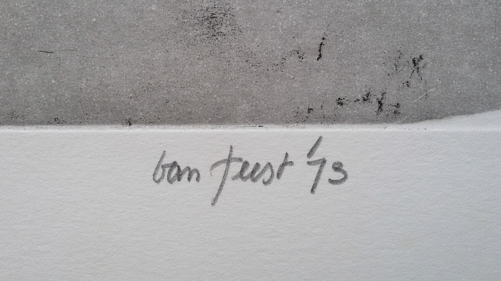 Laatste keer: Arie van Geest - Alice en Zwelvoet, ets kopen? Bied vanaf 30!