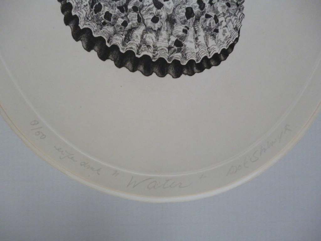 Dick Stolwijk-Etsen-Hemel, Aarde, Water en Vuur kopen? Bied vanaf 100!