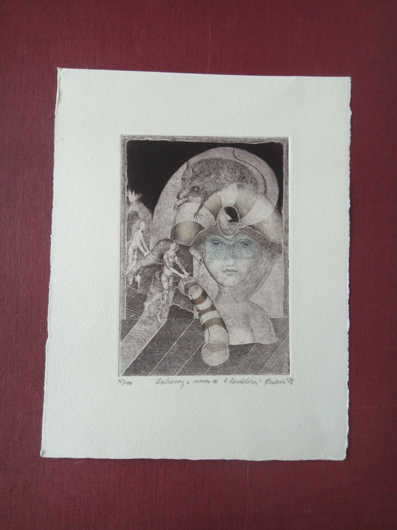 Eva Haskova, ets, Fantasievoorstelling I kopen? Bied vanaf 1!