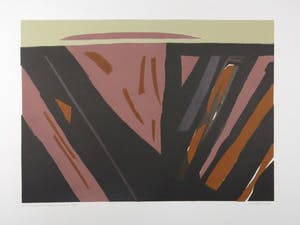 Thijs Buit - Thijs Buit: Boardsnede, O-Flevoland kopen? Bied vanaf 1!