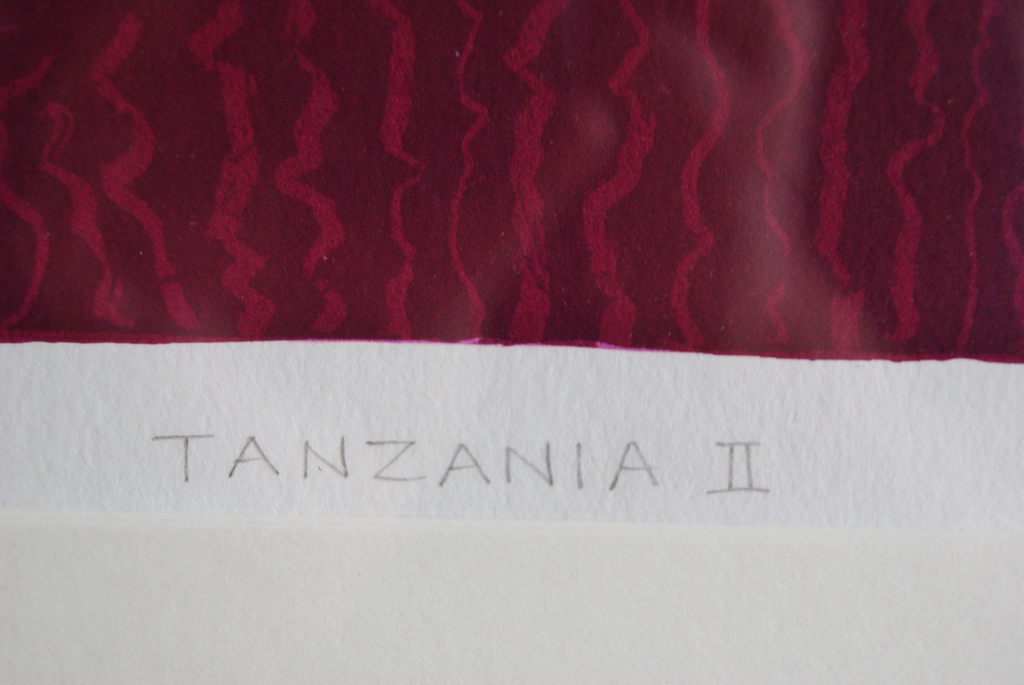 Ronald Boonacker zeefdruk 'Tanzania II' ingelijst. kopen? Bied vanaf 75!