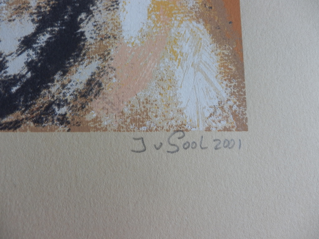 JOSE van GOOL   Zeefdruk LEZENDE DAME  Handgesigneerd kopen? Bied vanaf 35!