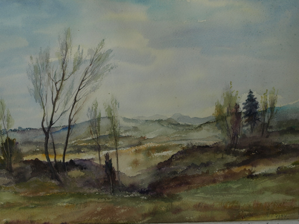 JOHN VISSCHER – Aquarel  – Zandvoort duinen  - Gesigneerd & ingelijst - 1951  kopen? Bied vanaf 1!