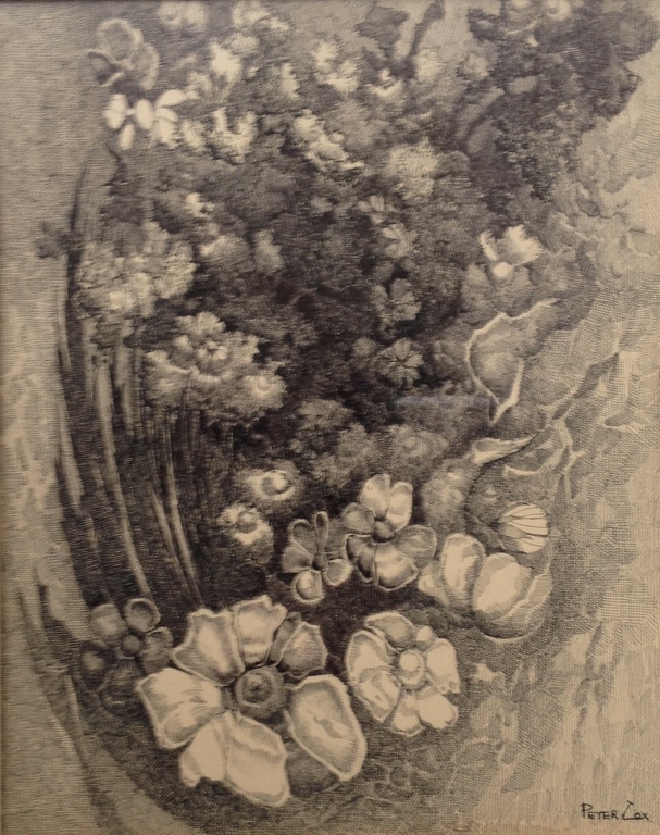 Peter Cox: inkttekening Bloemen kopen? Bied vanaf 1!