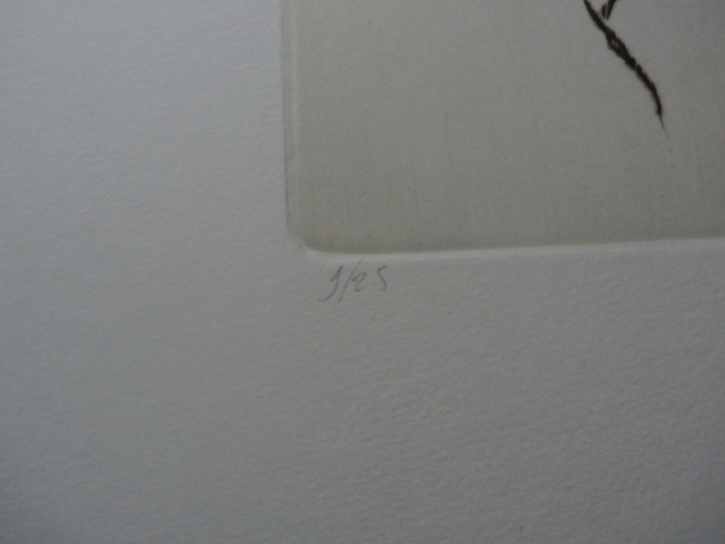 Bert de Keyser - ets: naar naakten van Rembrandt  kopen? Bied vanaf 35!