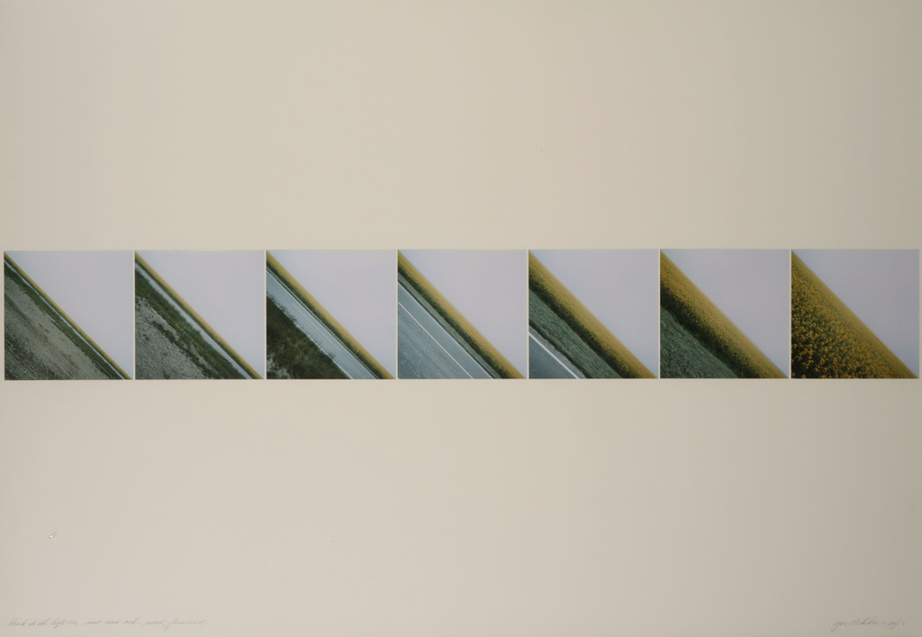 Ger Dekkers: Foto,Bank to the left over road and cole-seed Flevoland - Ingelijst kopen? Bied vanaf 60!